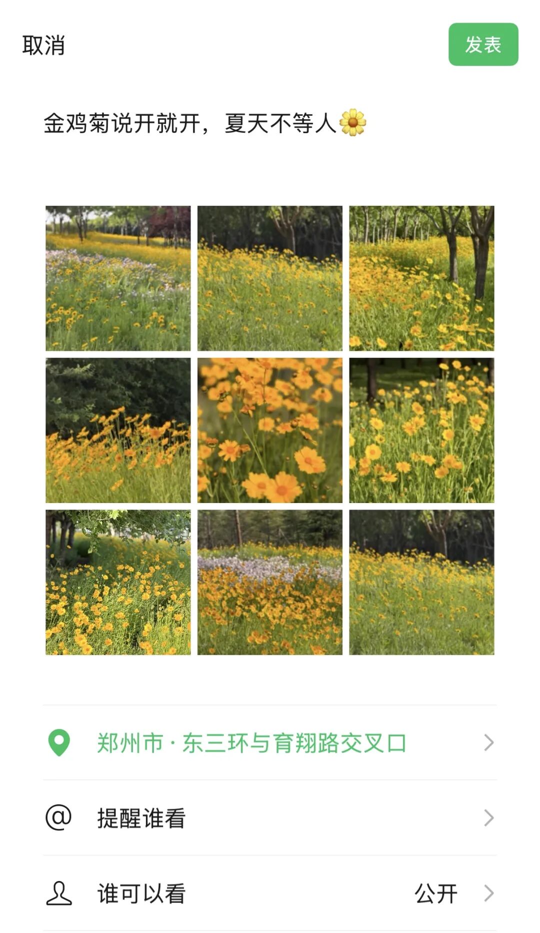 赏花地图！郑州东区“初夏限定朋友圈”来了 - 图3