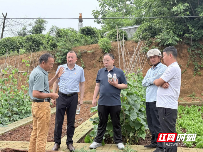 湖南省富硒生物产业协会党支部把技术服务送进田间地头 - 图2