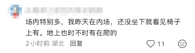 知名男歌手演唱会一个动作引网友担忧：或导致皮肤溃烂！ - 图4