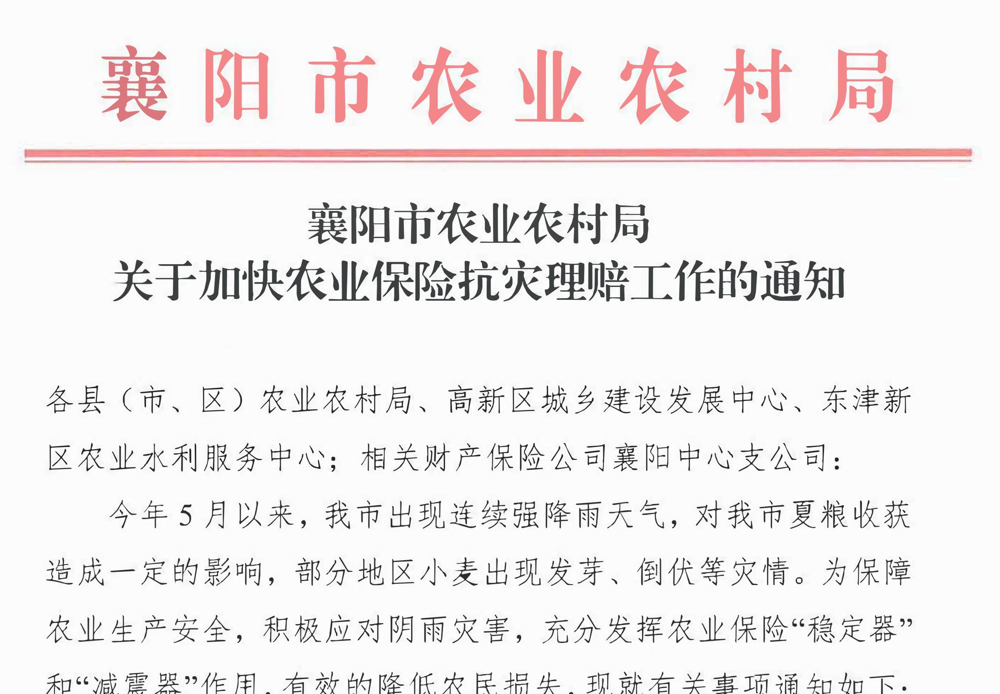 湖北襄阳小麦参保率超六成 农业保险如何助力受损农户渡过难关？ - 图2