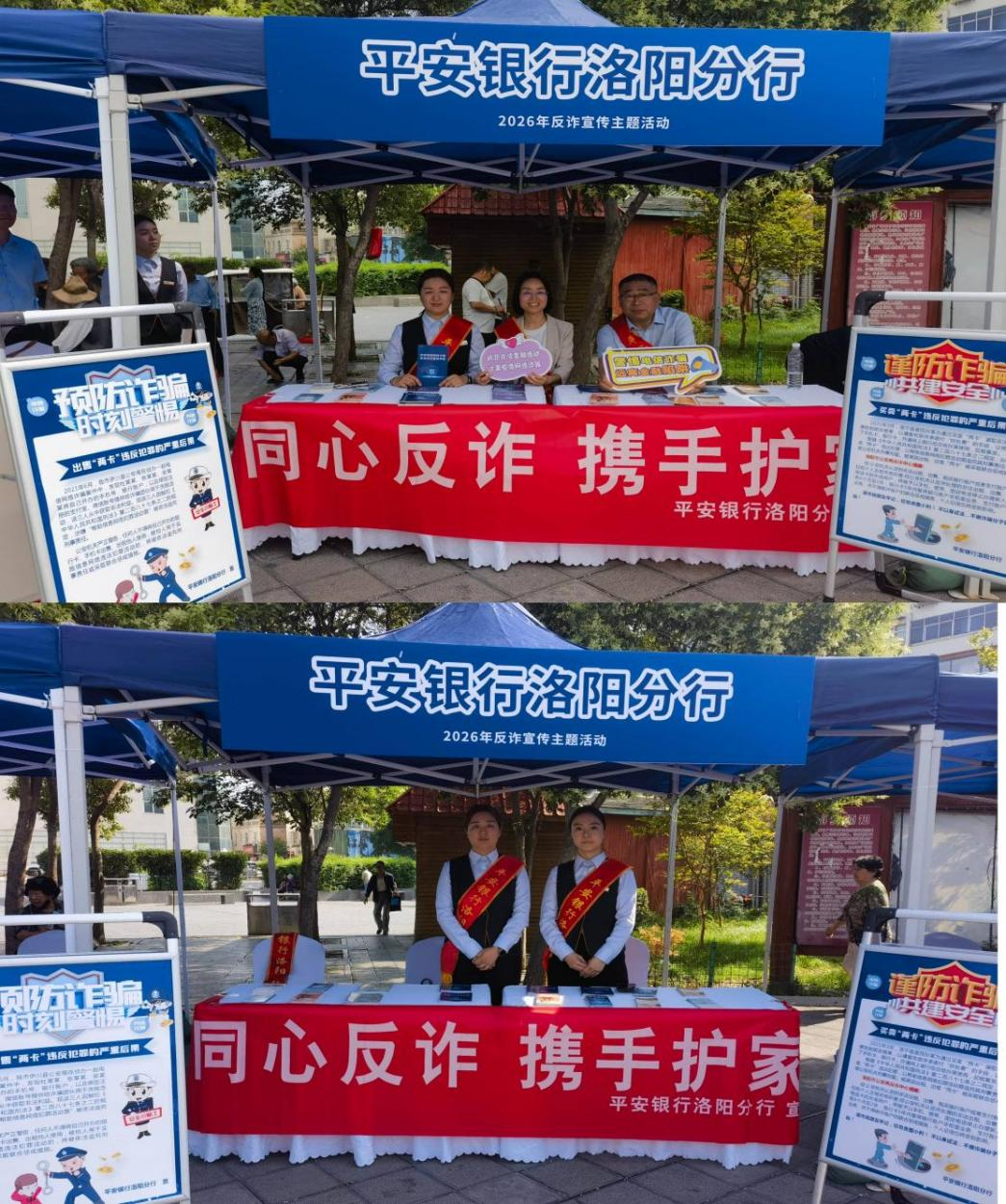 同心反诈 携手护家——平安银行洛阳分行积极参与洛阳市反诈主题宣传活动 - 图2