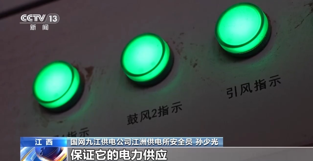 一线调研丨二次烘干+全天候保电 九江江洲镇全力抢收抢烘保麦收 - 图9