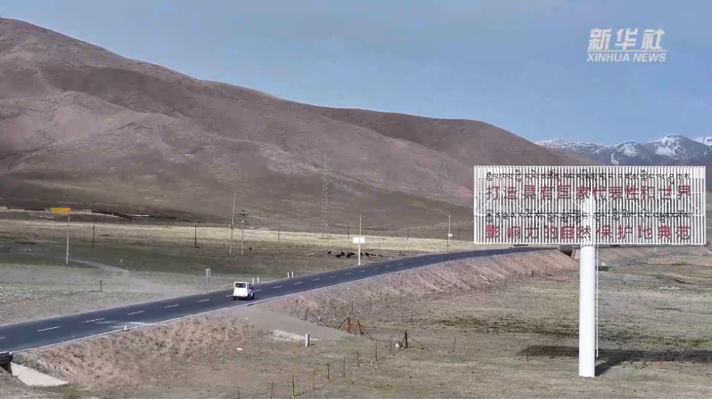美丽中国行丨黑颈鹤归来时 - 图1
