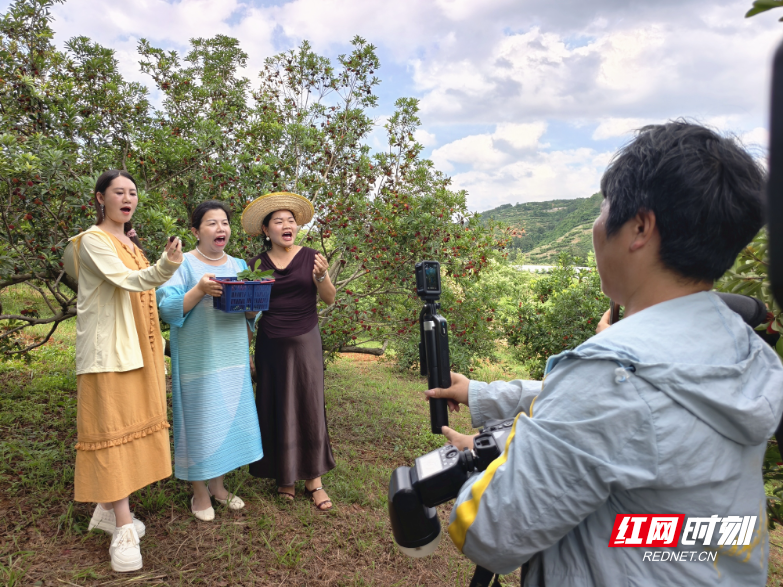 宜章县：电商赋能杨梅热销 激活乡村振兴新活力 - 图1