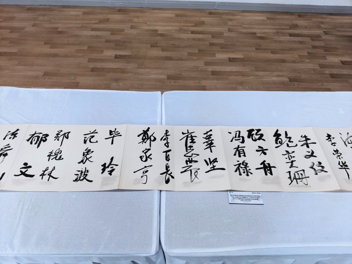 一展一剧一书一图，家乡宁波深情忆“方舟” - 图5