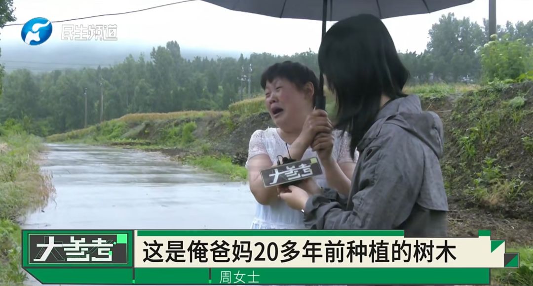 “感觉妈妈彻底走了！”女子20年老宅被亲戚擅装光伏板，母亲种的树全被砍 - 图5