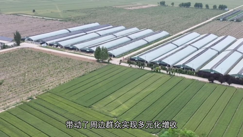 新华视点｜深耕特色富民产业 激活乡村振兴发展新动能 - 图6