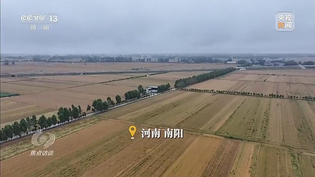 战阴雨 抢农时！湖北、河南、山东三大小麦主产区这样保丰收 - 图3