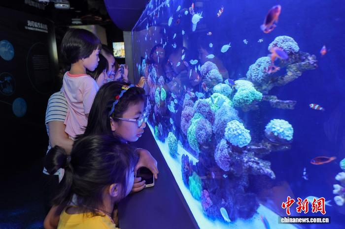海南海口：科技馆里过“六一” 探索科技乐趣多 - 图9
