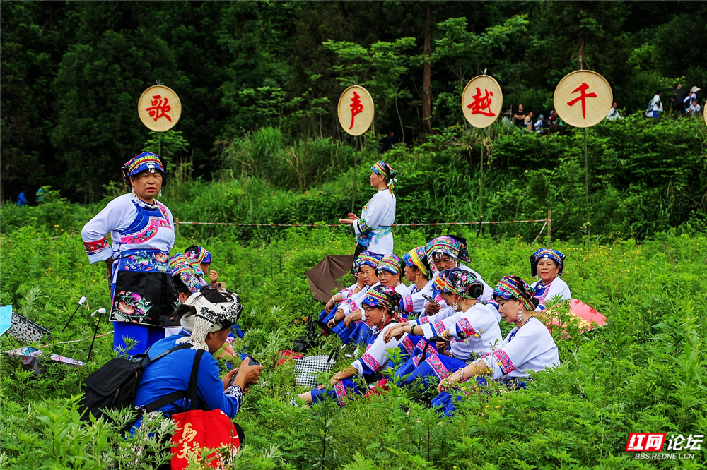「每日一图@湖南」湘西保靖“挑葱会”，把野葱与苗歌当定情物 - 图6