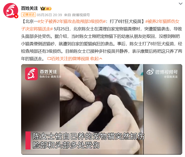 女子被自家养了2年的猫咪疯狂攻击，面颈部多处挫裂伤，头皮伤口约4公分：打了6针狂犬疫苗 - 图5