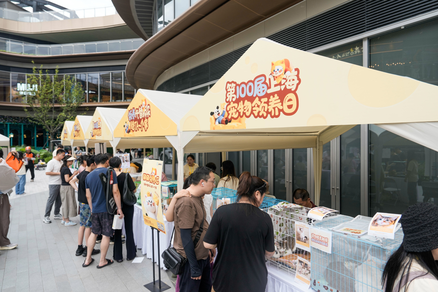 为爱助宠归家 上海宠物领养日打造城市人宠友好公益场景 - 图4