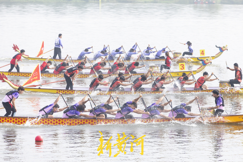 22载奋辑击流：聊城大学龙舟队何以成为顶流 - 图1
