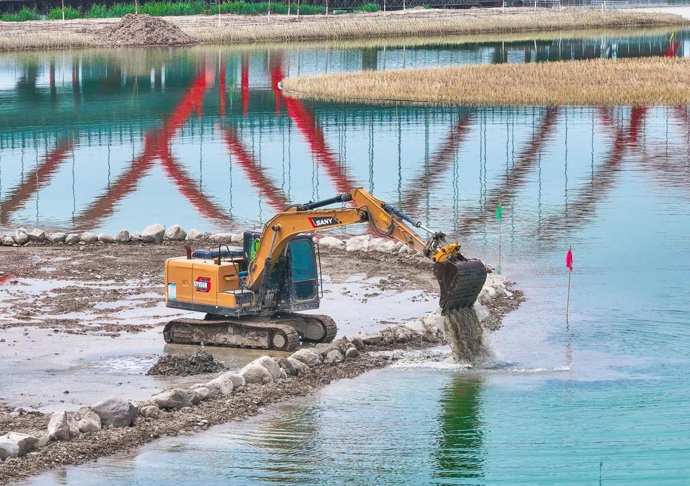 阅海九号湖生态修复提速 塞上湖城再添生态明珠 - 图5