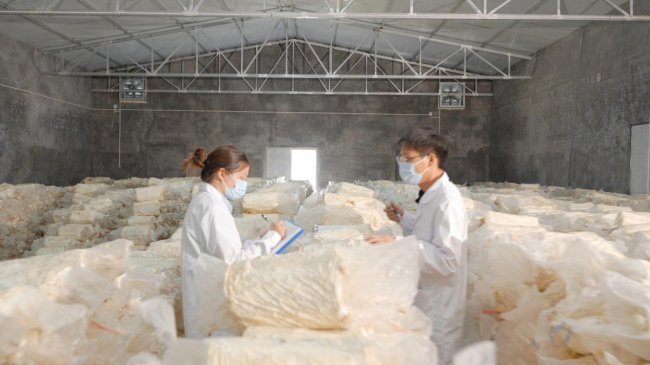 华弘草芝堂荣膺“2026中国制造·消费者信赖品牌”央媒权威认证 - 图3