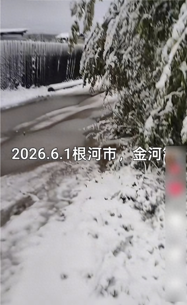 内蒙古一地凌晨上演“六月飞雪”，当地居民：积雪最厚达5厘米 - 图1