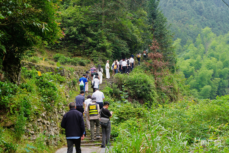 安徽“古道行”文化探访之旅第三站走进休宁 - 图1