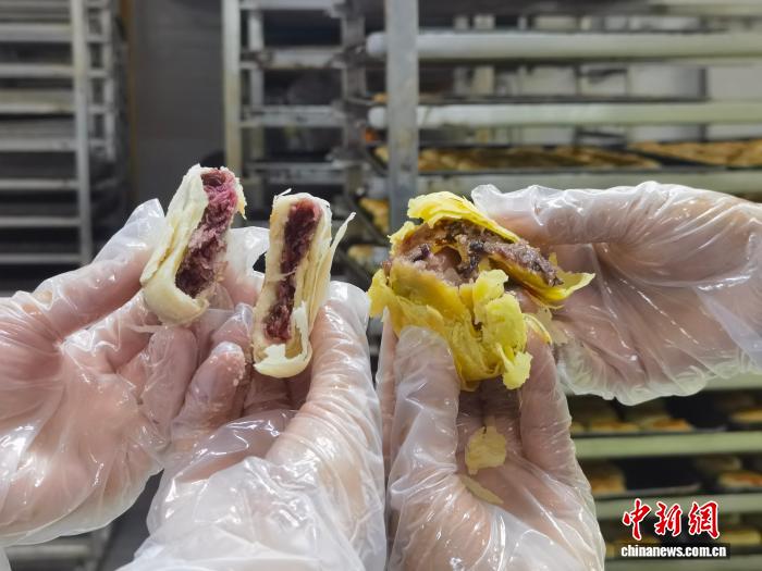 甘肃临夏：高原鲜花的差异化突围 - 图3