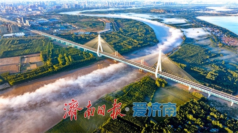 趵眼｜一年一赴约，这场高规格座谈会如何花开起步区 - 图5