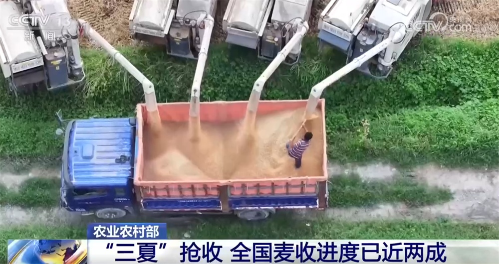 各地多措并举确保“三夏”抢收颗粒归仓 数字化调度让麦收跑出“新速度” - 图1