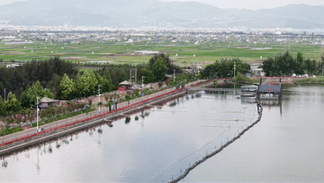 云南通海：多措并举护生态 杞麓湖焕发新生 - 图2