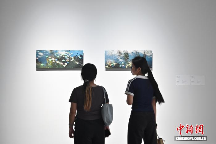 “风景与想象之间——意大利当代艺术在中国”展览开幕式在穗举行 - 图2