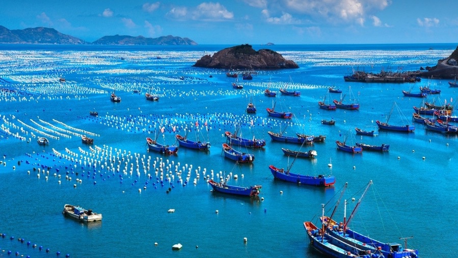 共同打造海洋旅游的顶级浪漫！临港与嵊泗牵手了 - 图1