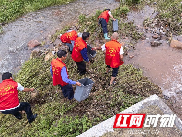 慈利县杨柳铺乡：人大代表再行动 清淤护河守护碧水清流 - 图2