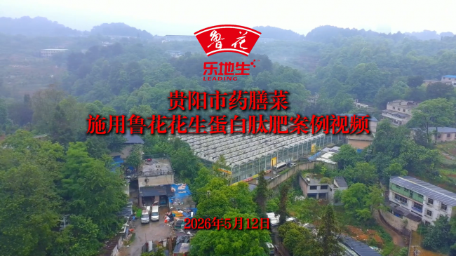 一肥六效，鲁花花生肽肥的化肥替代之路 - 图5