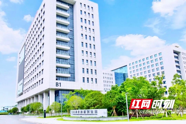 在这创业，不怕“摔”，有人“扶” - 图1