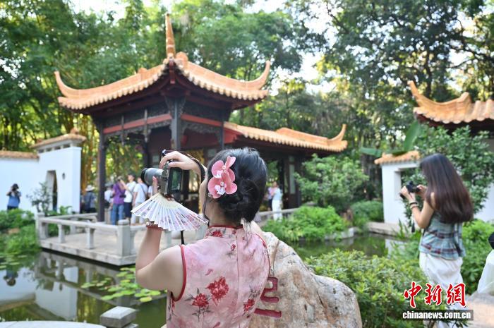 广州兰圃：岭南园林邂逅兰文化与中式美学 - 图7