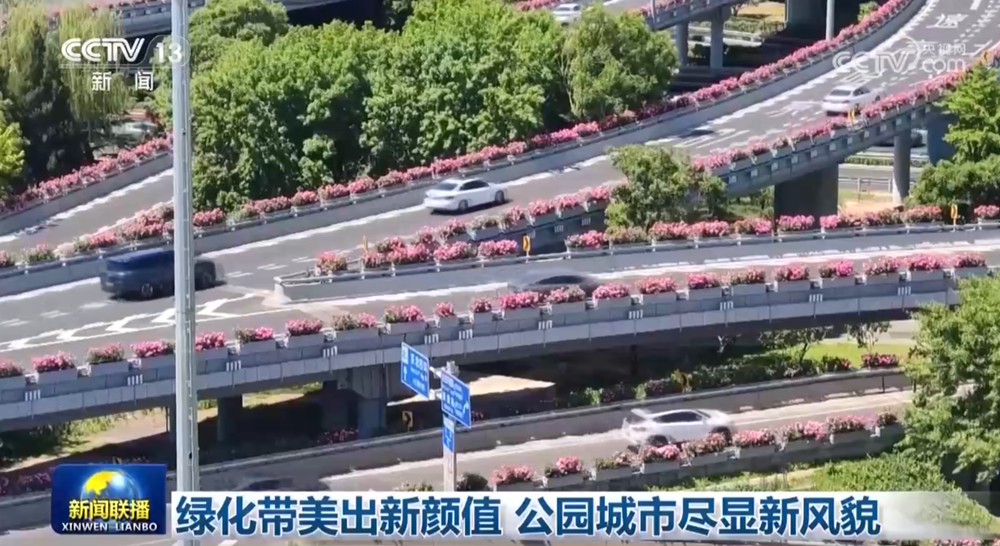 绿化带美出新颜值 公园城市尽显新风貌 - 图1