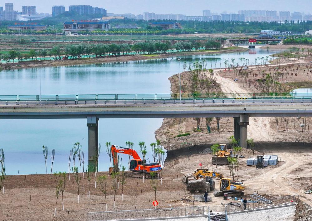 阅海九号湖生态修复提速 塞上湖城再添生态明珠 - 图2