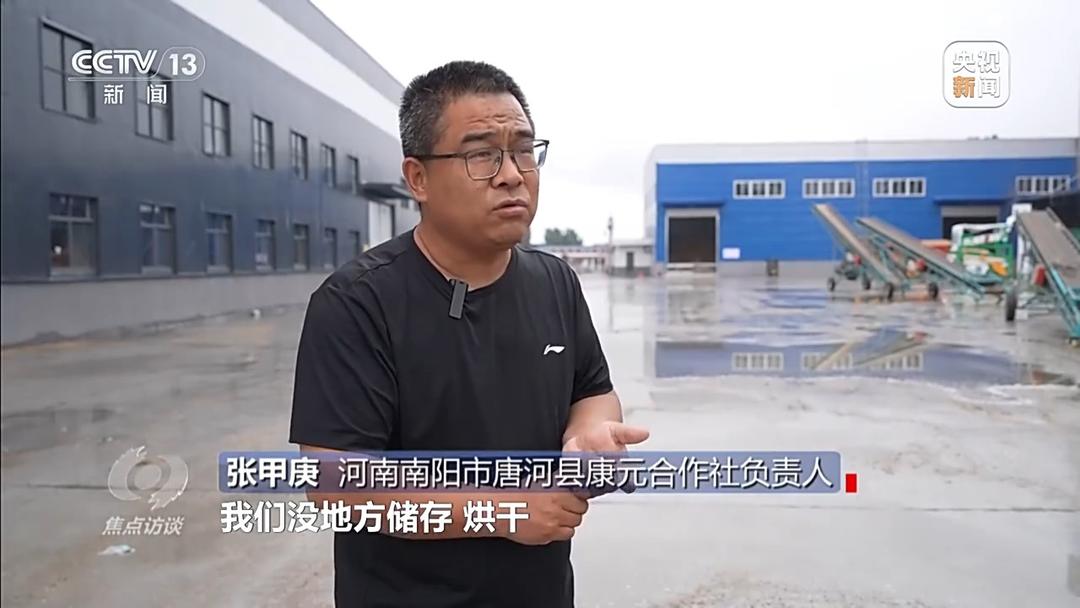 战阴雨 抢农时！湖北、河南、山东三大小麦主产区这样保丰收 - 图8