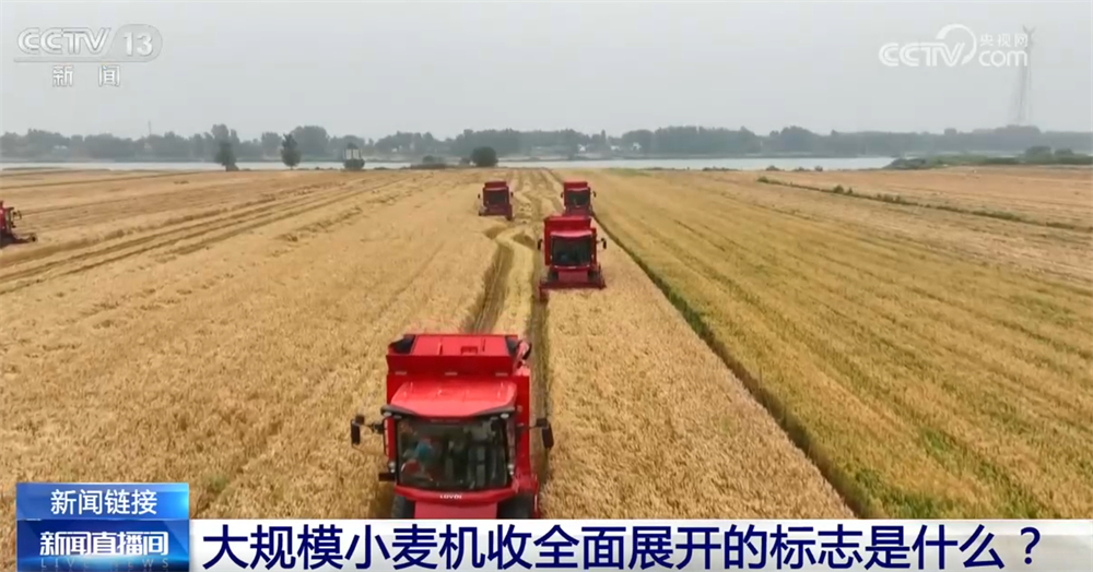 从“三夏”麦收地图看全国大规模小麦机收“时刻表” 多举措减损助丰收 - 图3