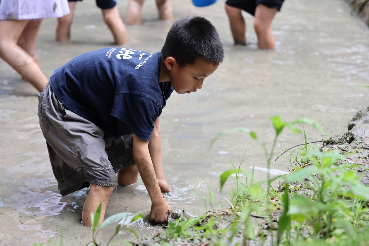 池塘水满捉泥鳅 这所小学的池塘成最嗨游乐场 - 图2