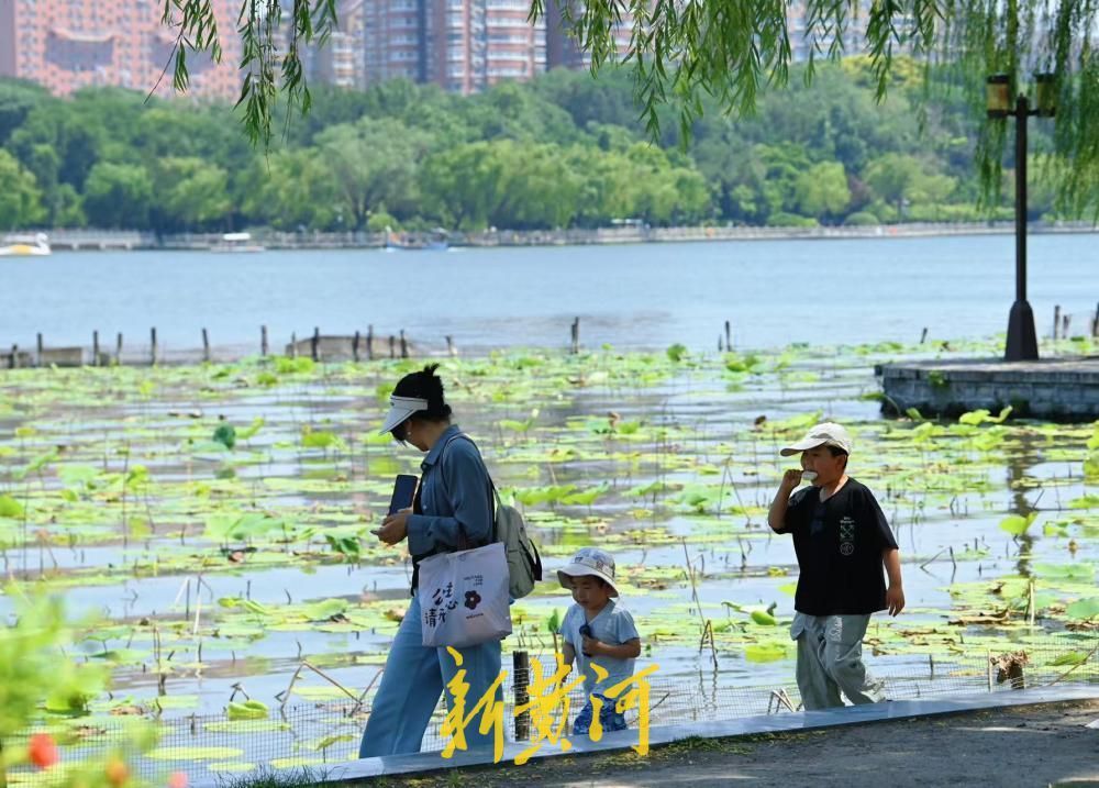 泉城连日高温 市民游客大明湖畔觅清凉 - 图1