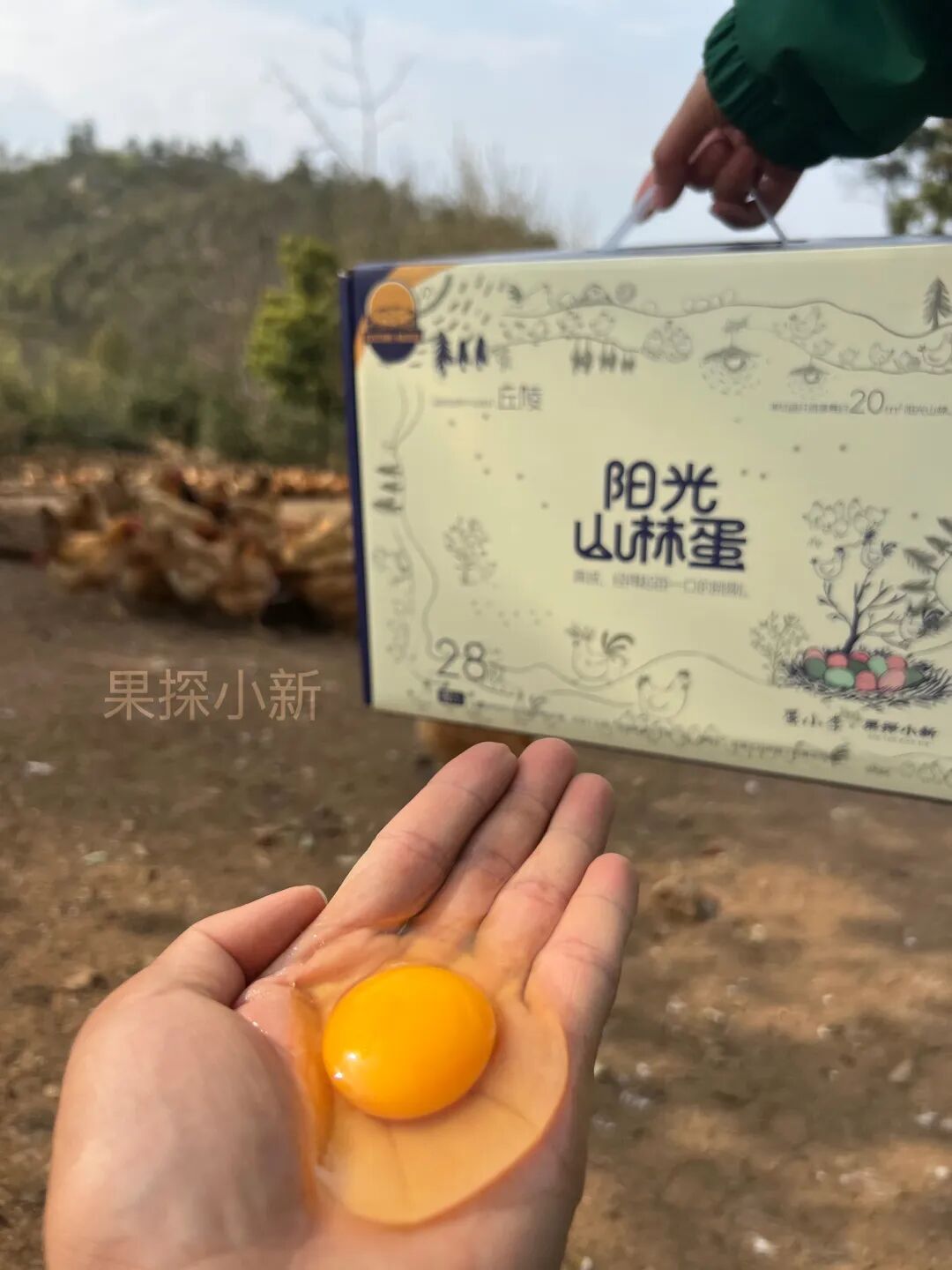 鸡蛋在冰箱里到底该放哪一层？我家原来一直放错了…… - 图10