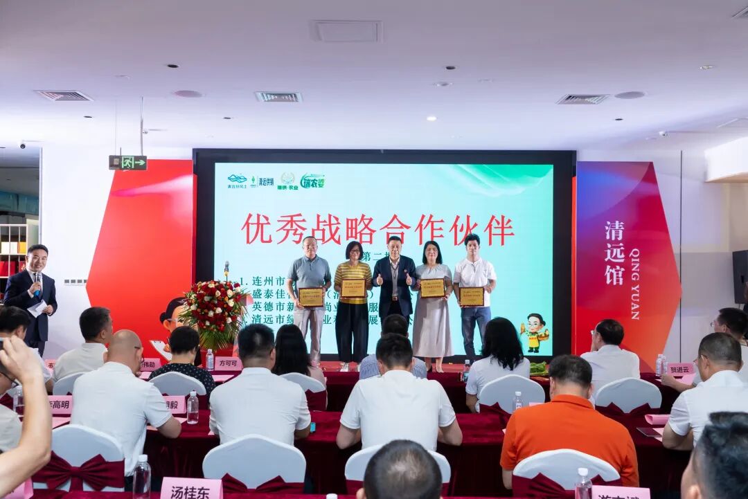 湾区赋能启新篇 清远馆盛大开业｜广东盈辉集团助力广清协作高质量发展 - 图8