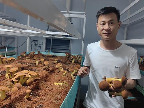 人工见手青实现方舱量产 - 图1