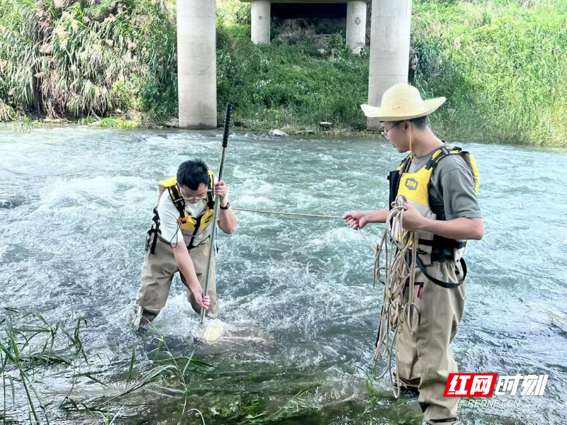 郴州市对国省控断面开展春季水生态调查监测 - 图3