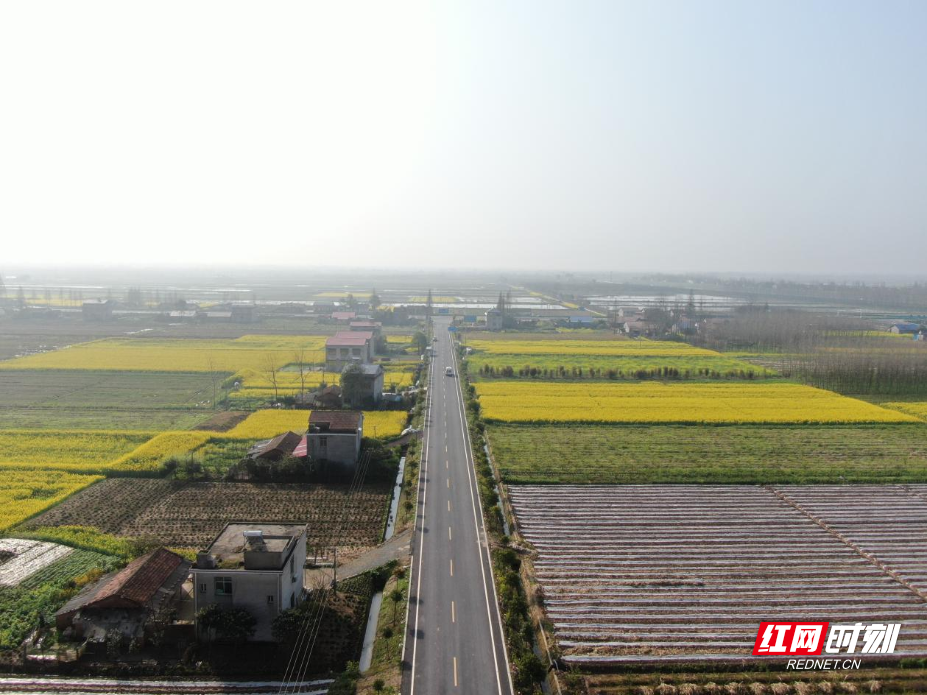 出发，湖南⑧｜行水乡环湖路，品洞庭湿地风光 - 图3