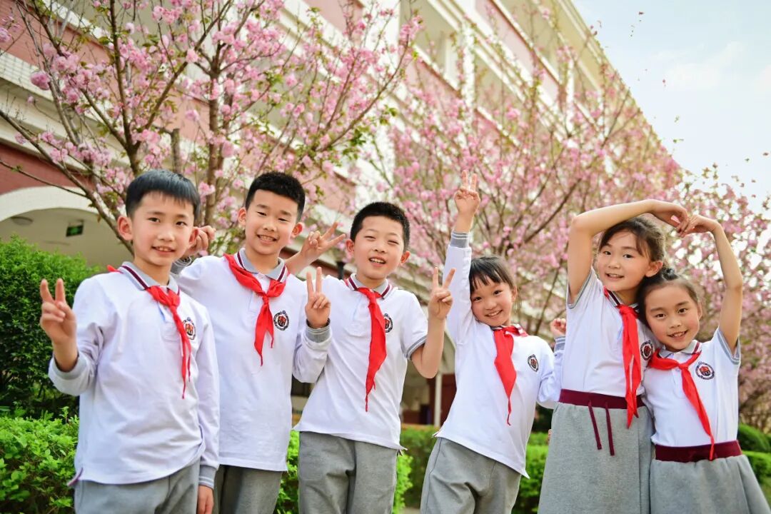 6月1日起报名！成都民办小一报名操作手册来啦 - 图1