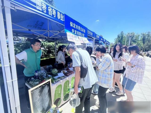 青元农业优质农产品亮相河北省“头雁”产品推介活动 - 图2