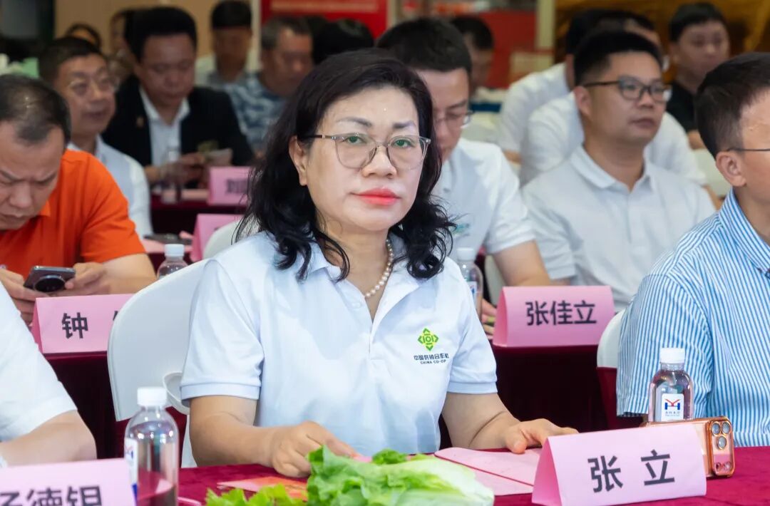 湾区赋能启新篇 清远馆盛大开业｜广东盈辉集团助力广清协作高质量发展 - 图3