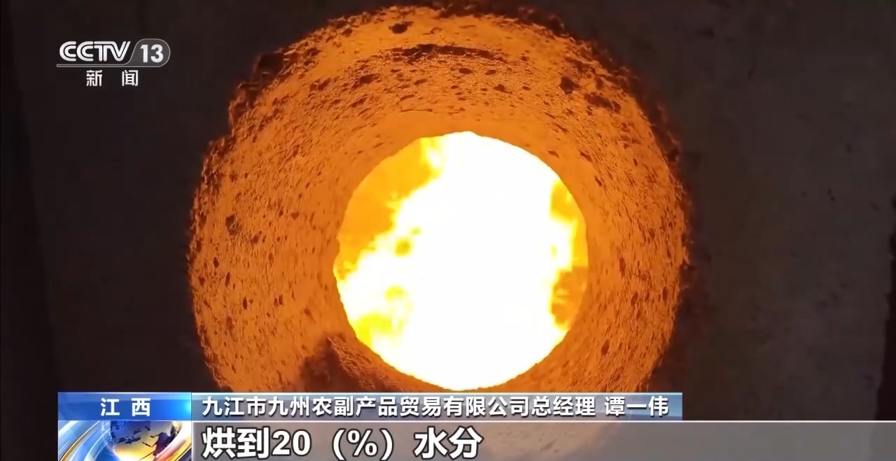一线调研丨二次烘干+全天候保电 九江江洲镇全力抢收抢烘保麦收 - 图1