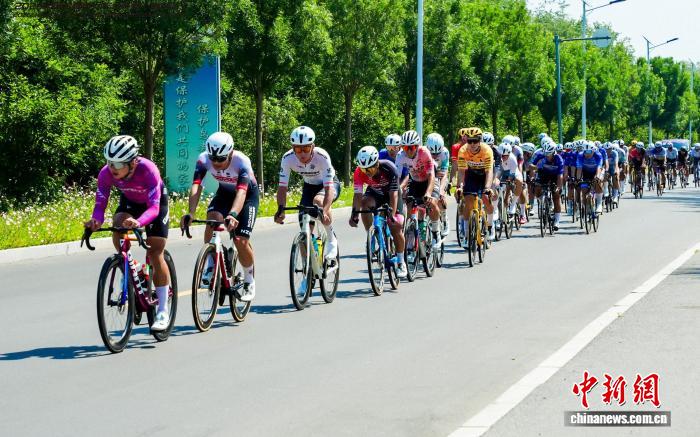 2026中国公路自行车公开赛（衡水站）鸣枪开赛 - 图5