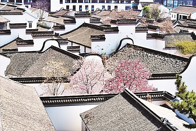 “古建游”缘何出圈走红 - 图2