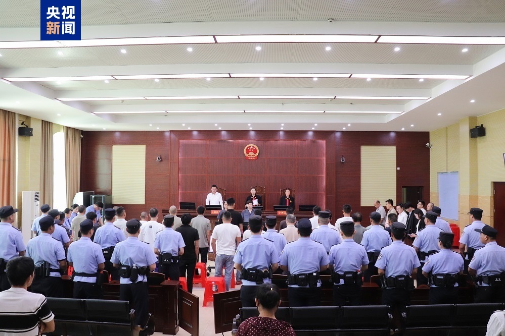 多次在国家公园核心区盗伐林木，26人被判刑！案件详情披露 - 图1