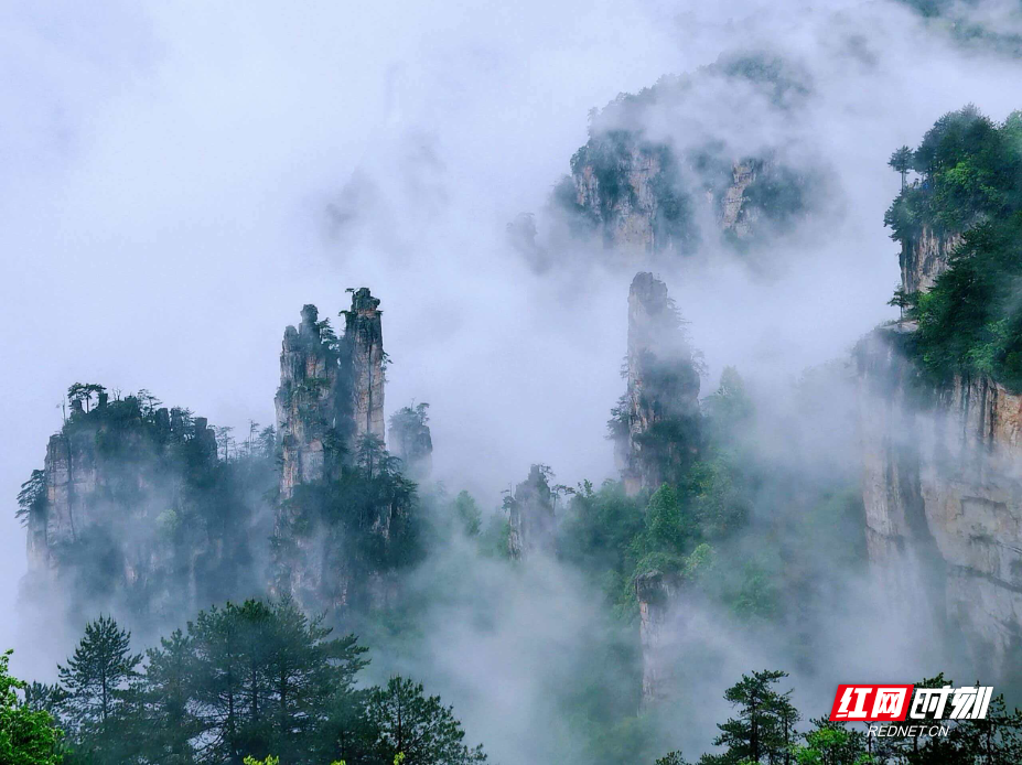 雨过天青，赴一场张家界的云海之约 - 图3